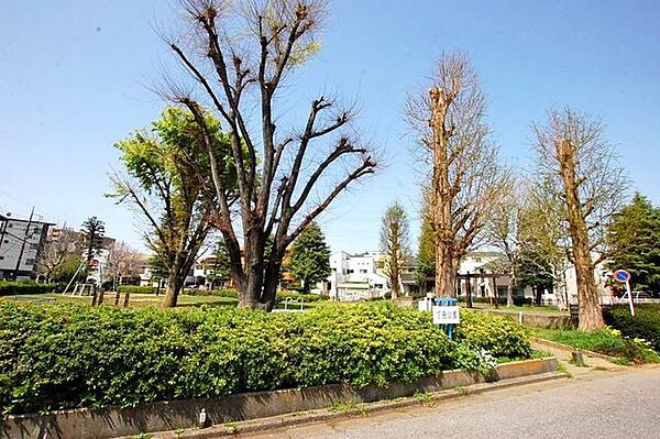 周辺を拡大表示