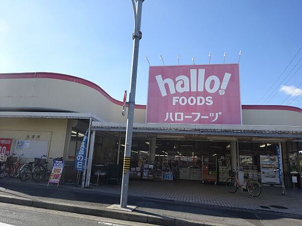画像19:ショッピング施設「ハローフーヅまで420m」