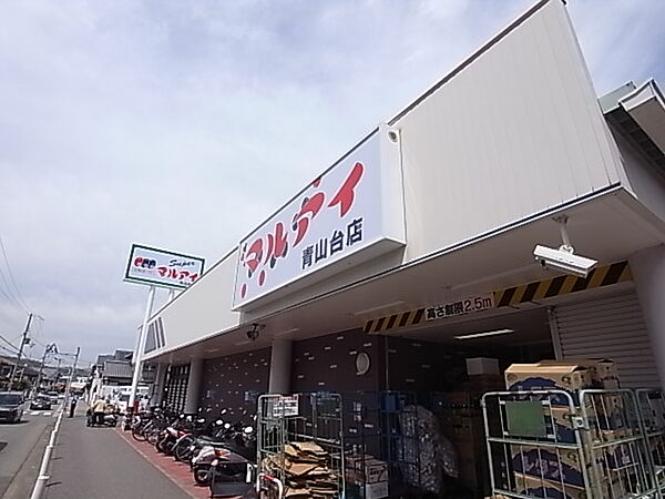 画像17:マルアイ 青山台店（641m）
