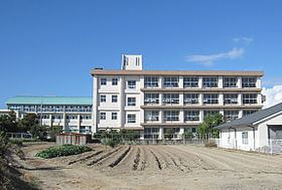 画像19:明石市立藤江小学校（2901m）