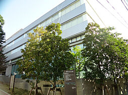 【図書館】品川区立五反田図書館まで298ｍ