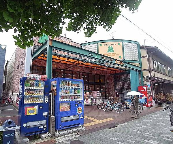 画像4:エムジー 上堀川店まで297m 新鮮な食材を揃えたいならここ。