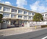 大山崎小学校まで800m