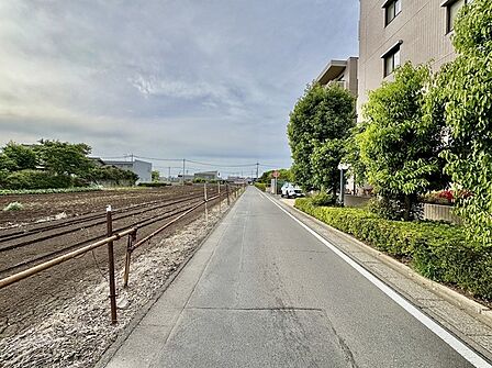 周辺の街並み(50m)
