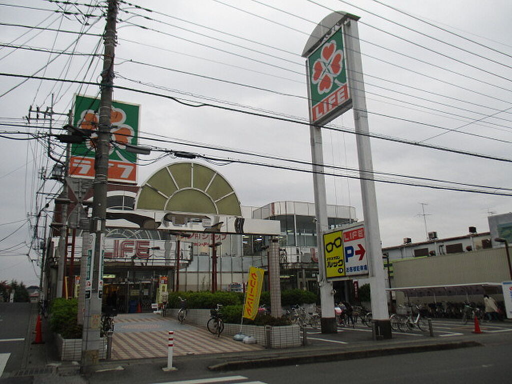 Image 8