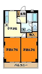 ドルフＭ 1階2DKの間取り