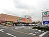 周辺：エコス東浅川店 490m