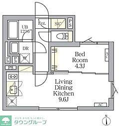 TKS中野新橋 1LDKの間取図画像