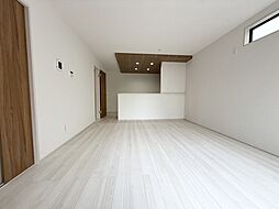 市川市新田3丁目　新築戸建　1号棟
