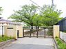 周辺：市川市立第一中学校（910m）