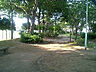 周辺：横須賀中央公園