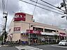 周辺：ベルクス足立南花畑店 700m