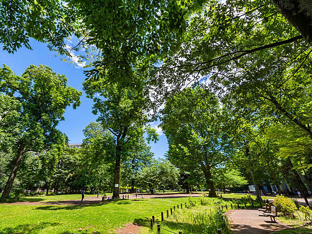 周辺 ヴィルヌーブ西早稲田 14階/1402