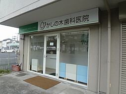 ジェネシス