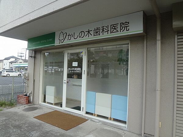 ジェネシス