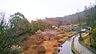周辺：泉谷公園 964m