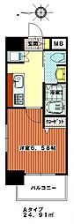 ステイツ姪浜駅前 5階/-