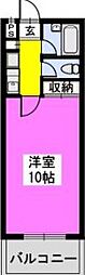 ラフィーネ博多 5階/-
