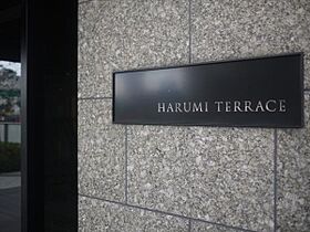 晴海テラス（HARUMI TERRACE） 719 ｜ 東京都中央区晴海５丁目1-9（賃貸マンション1LDK・7階・40.00㎡） その21