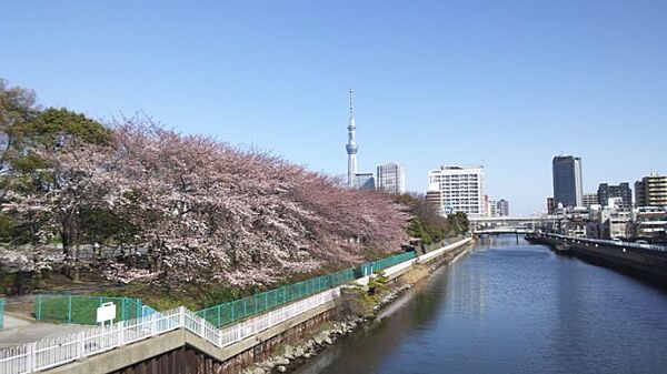 ヴェルト西大島グラーセ 907｜東京都江東区北砂３丁目(賃貸マンション1K・9階・21.78㎡)の写真 その26