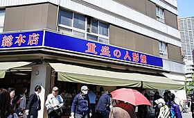 グランスイート日本橋人形町 2F ｜ 東京都中央区日本橋人形町２丁目7-5（賃貸マンション1K・2階・27.26㎡） その19