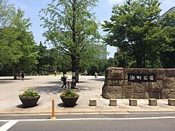 浜町公園[333m]