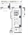 ZOOM日本橋蛎殻町6階20.3万円