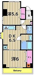 メゾン白和 2DKの間取図画像