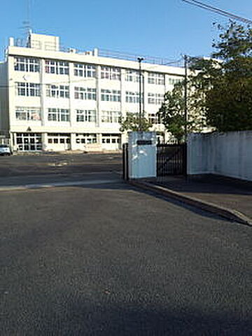 周辺 サンロード広瀬川 2階/-