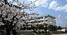 周辺：仙台市立加茂小学校 1866m