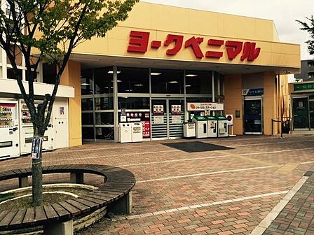 ヨークベニマル真美沢店 徒歩6分。 480m