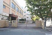 野田小学校 445m