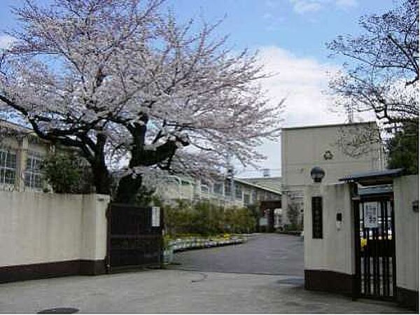 画像17:【小学校】京都市立 音羽小学校まで203ｍ