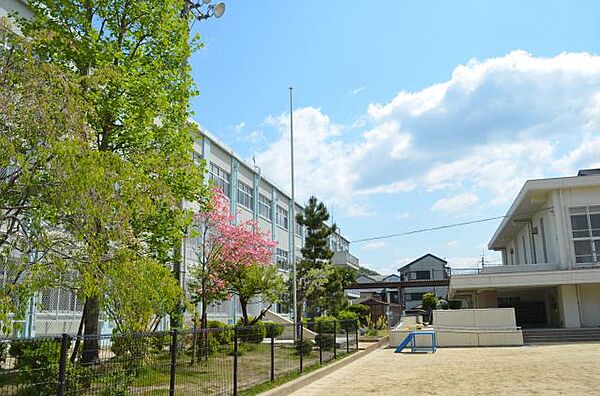 画像15:【小学校】京都市立 陵ケ岡小学校まで310ｍ