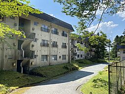 ダイヤモンドシャトー山中湖1号棟