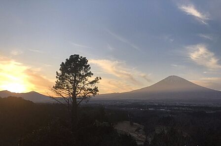 バルコニーからの眺望 オーナー様写真提供
