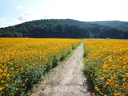花の都公園まで（1750m）