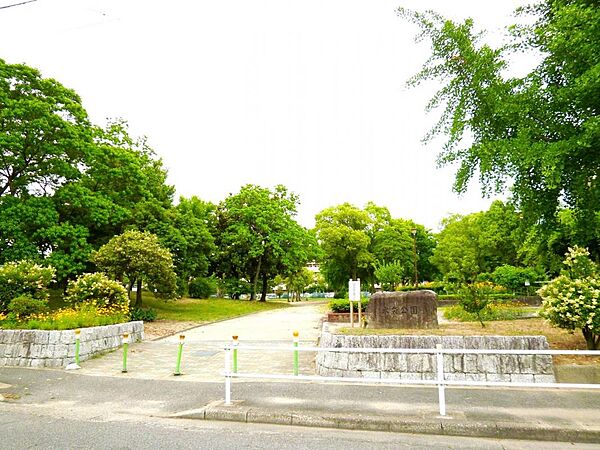 周辺を拡大表示