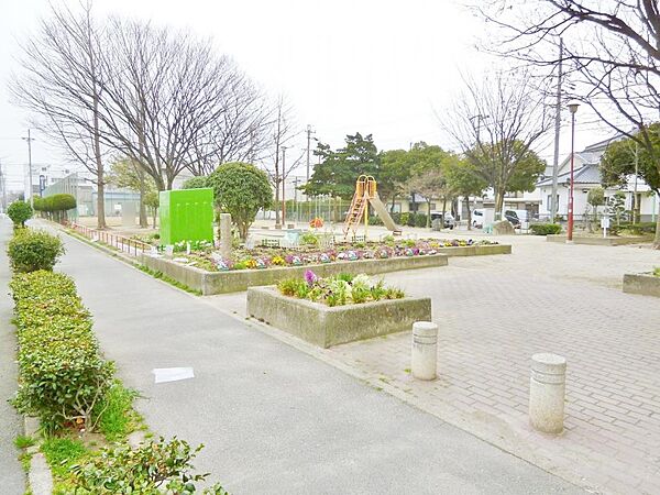 周辺を拡大表示