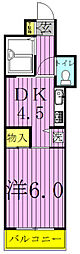 ジュネパレス柏第29 1DKの間取図画像