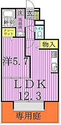 オリエンス2 1LDKの間取図画像