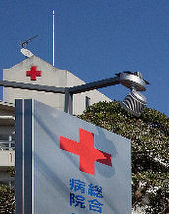 画像27:大橋医院（501m）