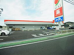 ドラッグストアセキ 花野井店（420m）