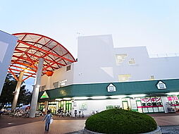 マルエツ 北柏店（453m）