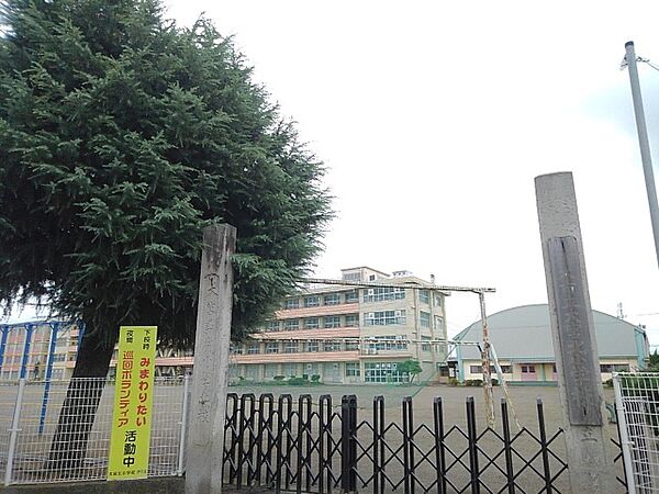 画像15:栃木市立大宮北小学校まで200m