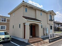 ミルトC　（mild）