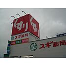 ドラックストア「スギ薬局白塚店まで2172ｍ」