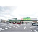 ドラックストア「ジップドラッグ一身田店まで836ｍ」