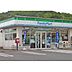 周辺：コンビニ「ファミリーマート津栄町二丁目店まで256ｍ」