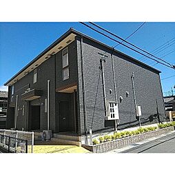 ペルリ